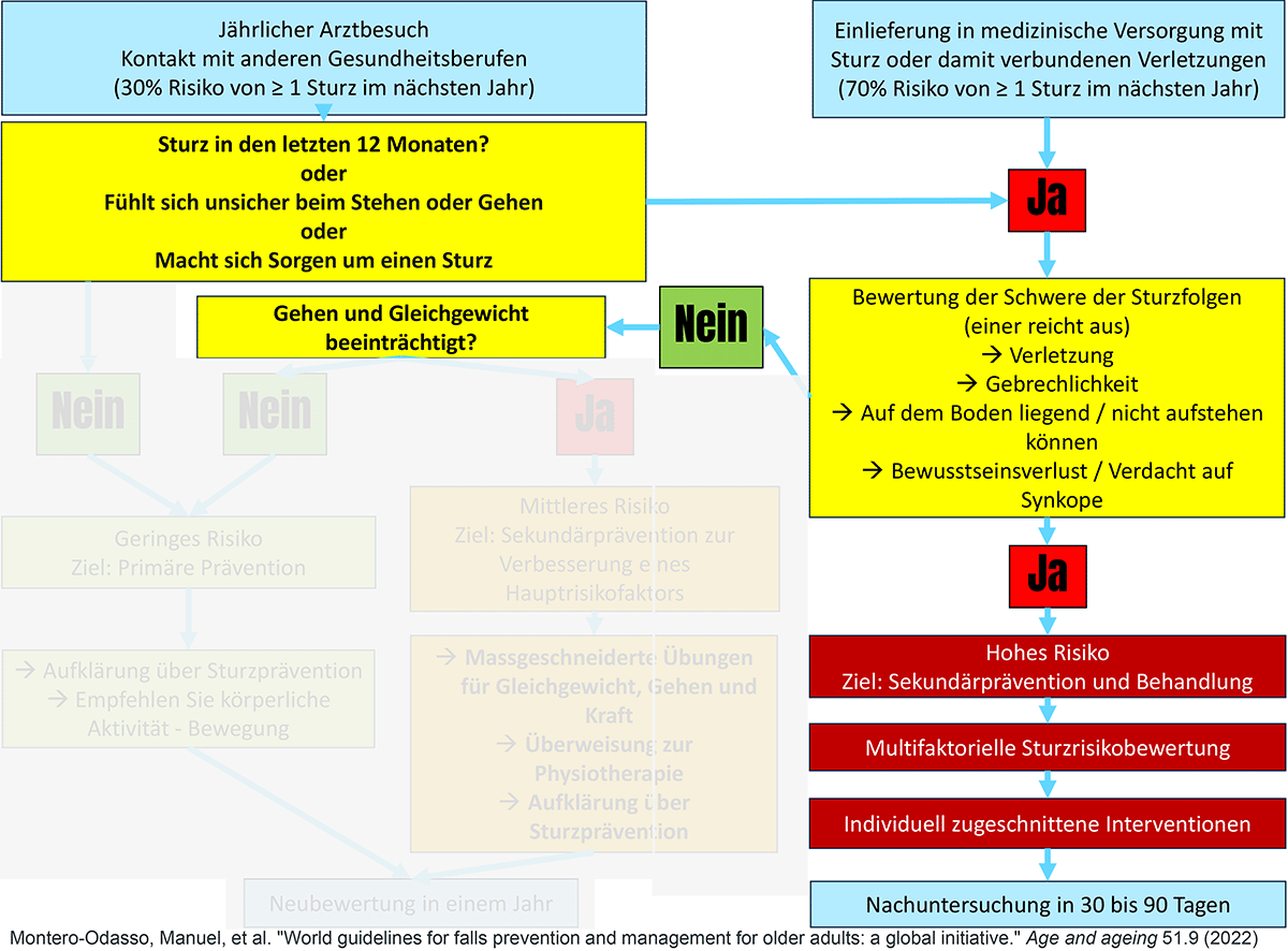 Algorithmus Sturzrisiko